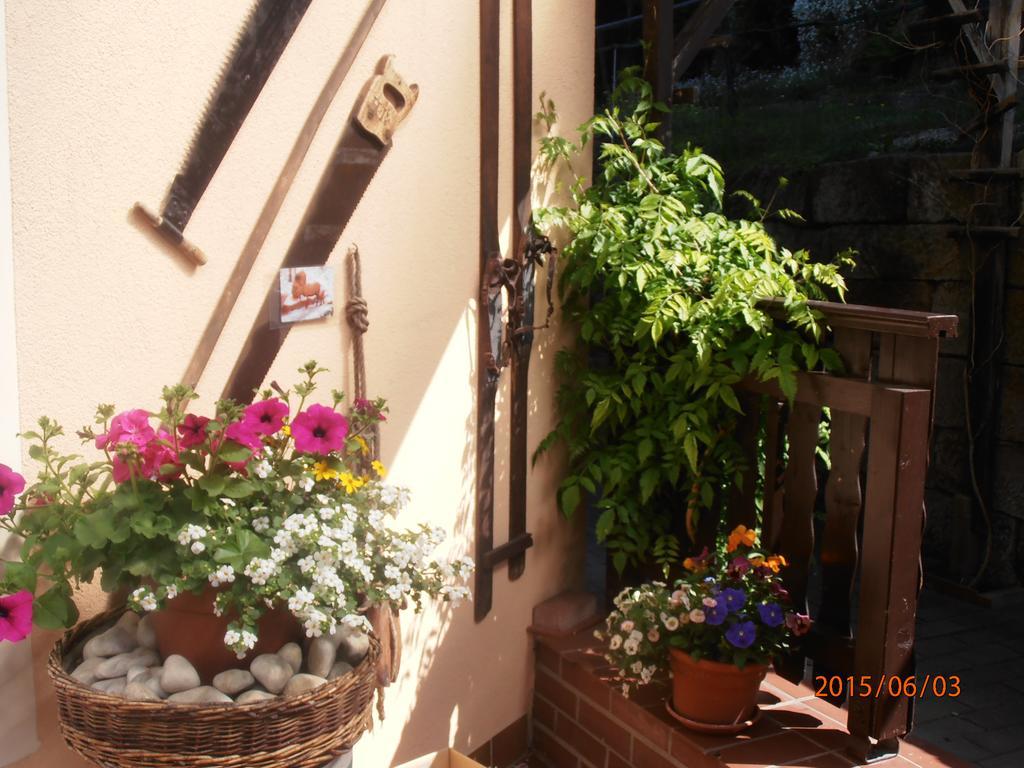 Ferienwohnungen "Gruendelrast" Prossen Exterior foto
